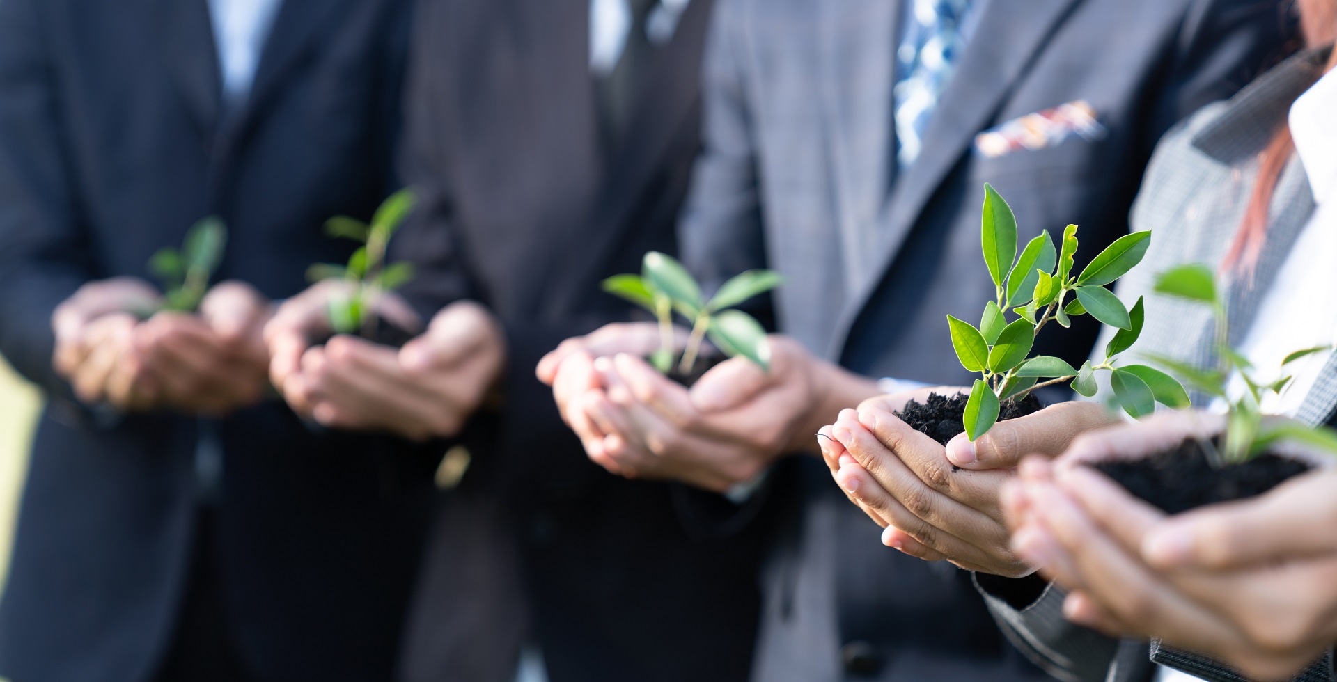 India Green Growth Through Ppps Website